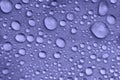 Leaf water drops violet. Nature background texture. Very peri color Royalty Free Stock Photo