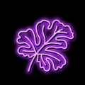 leaf watermelon neon glow icon illustration