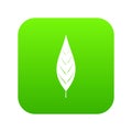 Leaf of willow icon digital green