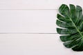 Leaf on wooden table, composition with top view, branch and leaves on wood desk with copy space.