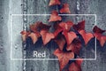 The leaf and words and quotes and letters Royalty Free Stock Photo