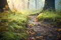 leafcovered forest trail with morning dew Royalty Free Stock Photo