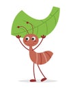 Leafcutter Ant