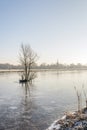 Bare tree reflected on the ice of a frozen river