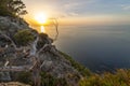 Coastal sunset view with a leafless tree Royalty Free Stock Photo