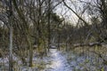 Leafless parkland trail in late Fall