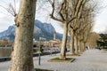 Leafless plane trees on the streets of Lecco town on early spring day. Picturesque waterfront of Lecco located between famous Lake Royalty Free Stock Photo