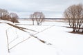 A leafless small tree is on the foreground with a wide landscape shot against it. Lots of leafless trees are in the distance and Royalty Free Stock Photo