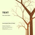 Leafless Tree for Text Background Royalty Free Stock Photo