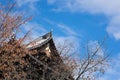 Leafless tree with background of Japanese temple