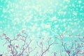 Leafless tree branch with pink flowers against blue sky and snow falling. Royalty Free Stock Photo