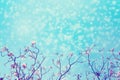 Leafless tree branch with pink flowers against blue sky and snow falling. Royalty Free Stock Photo