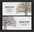 Leafless tree. ecology, nature banner. hand-drawn vector old oak.