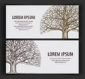 Leafless tree. ecology, nature banner. hand-drawn vector old oak. Royalty Free Stock Photo