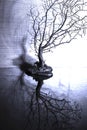 Leafless tree figure made of dry branches. gloomy and lonely. it stands on the glass surface and there is reflection.