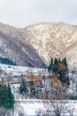 Leafless tree mountains in winter in Japan