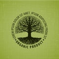 Leafless Tree With Roots Vector Logo. Organic Product