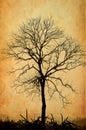 Leafless tree Royalty Free Stock Photo