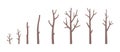 Leafless Tree Vector Set â Bare Winter Trees and Branch Silhouettes Royalty Free Stock Photo