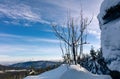 A leafless tree in winter in front of clear blue cloudy sky, winter hilly landscape, Jeseniky Royalty Free Stock Photo