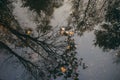 Leafless trees reflection on water surface Royalty Free Stock Photo