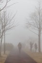 Leafless trees with tourist on path with fog at Mount Usu in winter in Hokkaido, Japan