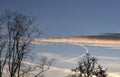 Leafless treetops at sunrise on a winter morning