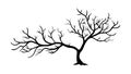 Leafless Winter Tree Silhouette Illustration, vector design Generative AI Royalty Free Stock Photo