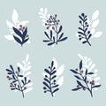 Leafs, berries and wreaths in blue, red and white colors