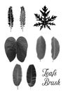 Leafs brush. Natural black and white brush icon