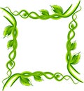 Leafs frame border Royalty Free Stock Photo