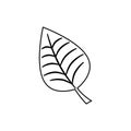 leafs plant isolated icon