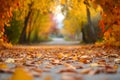 leafstrewn walk in autumn, outoffocus fall foliage frames either side Royalty Free Stock Photo