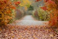leafstrewn walk in autumn, outoffocus fall foliage frames either side Royalty Free Stock Photo
