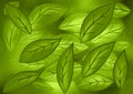 Leafy Background Green Wallpaper Pattern Design