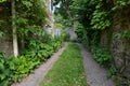 Leafy Country Lane Royalty Free Stock Photo