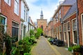 Leafy Dutch street with church tower, Haarlem, Netherlands