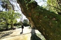 Leafy and green gardens at the Botanical Garden of Lisbon