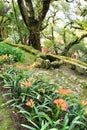 Leafy and green gardens in Sintra