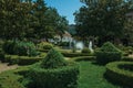 Leafy hedge and bushes in a wooden garden with fountain