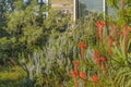 Leafy House Garden