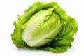 Leafy Lettuce leaves cabbage. Generate Ai Royalty Free Stock Photo