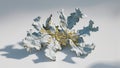 Photorealistic image of a broken lichen with shadow on a white background Royalty Free Stock Photo