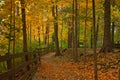 Leafy path by fence on an autumn day Royalty Free Stock Photo