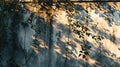 Leafy Shadows on Urban Wall - AI Generated