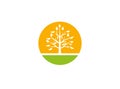 A leafy tree for an agricultural soil and plant with big sun for Cultivation of solar plants for logo design illustration