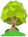 Leafy tree on hill