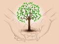 Leafy tree hold two human hands across vector