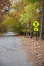 Country Road in Autumn Royalty Free Stock Photo