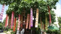 Colourful banners hanging from a tree